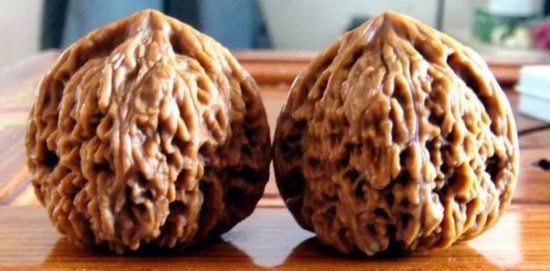 文玩核桃狮子头大全，考验眼力的时候来了！（一）