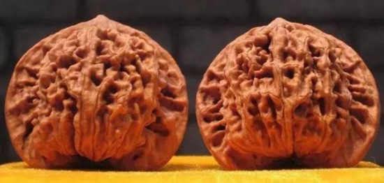 文玩核桃狮子头大全，考验眼力的时候来了！（一）