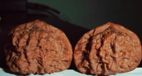 文玩核桃狮子头大全，考验眼力的时候来了！（一）