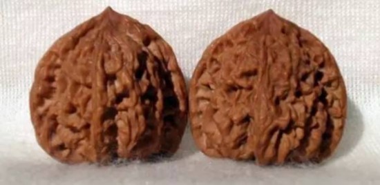 文玩核桃狮子头大全，考验眼力的时候来了！（一）