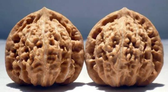 文玩核桃狮子头大全，考验眼力的时候来了！（一）