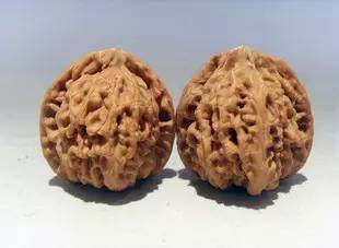 文玩核桃狮子头大全，考验眼力的时候来了！（一）