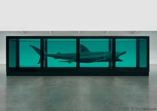 达明·赫斯特的《利维坦》（Leviathan ，20062013），众多浸泡在甲醛当中的鲨鱼系列作品中的一件。