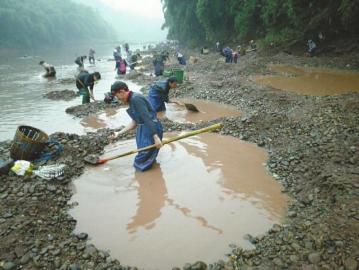 17日早晨，在洗猪滩挖石的村民。