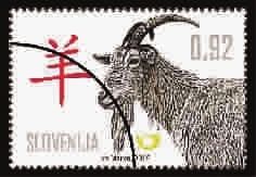 澳大利亚的羊深谙中国汉字的魅力