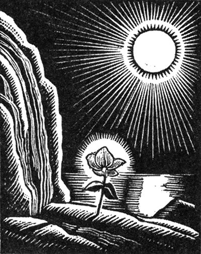 藏书票里的人生 ——插画家肯特和他的小小藏书票