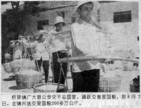 上个世纪90年代初，望城县桥驿镇村民交粮时的情形。