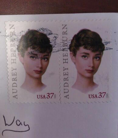 照片源自@杨爱咪招财