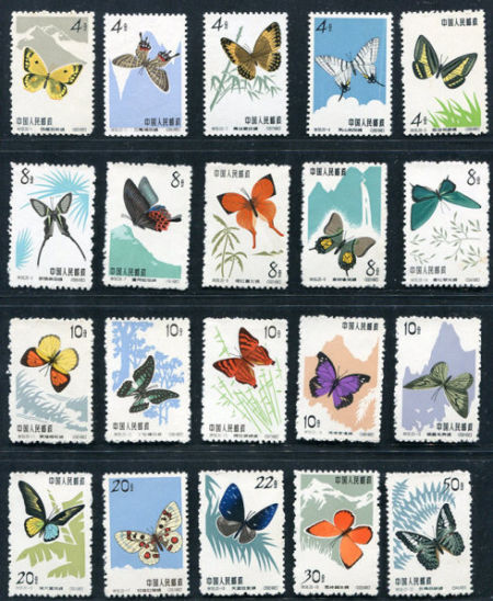 “五朵金花”中的蝴蝶也是天生无胶的